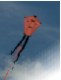 A-Kite