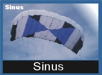 sinus