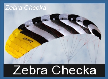 zebra checka