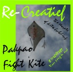 Pakpao Fightkite Re-Creatief